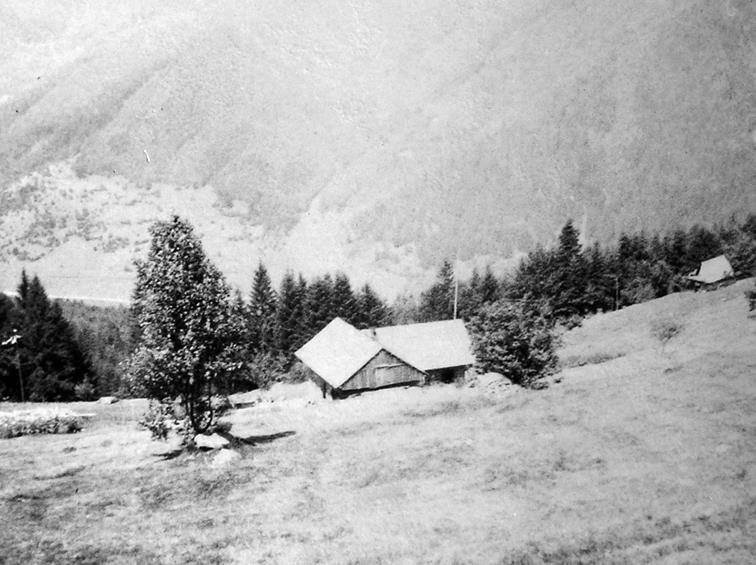 História včelárenia rodu Ridzoňovcov