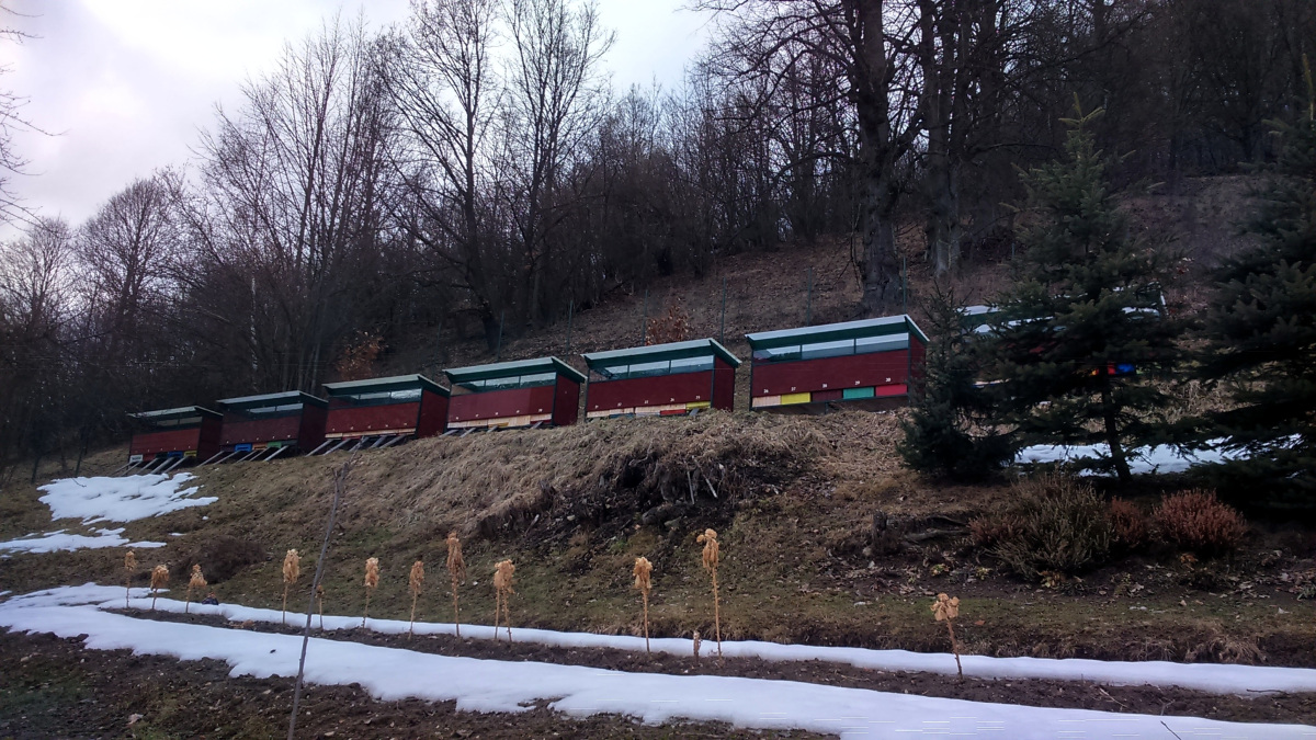 Február na včelnici