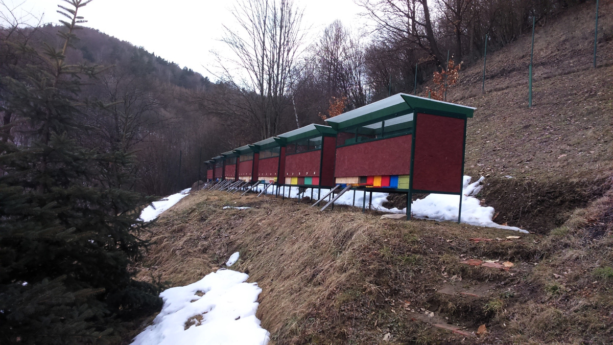 Február na včelnici