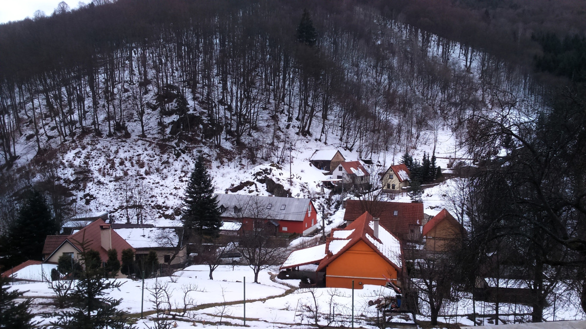Chvojnický február